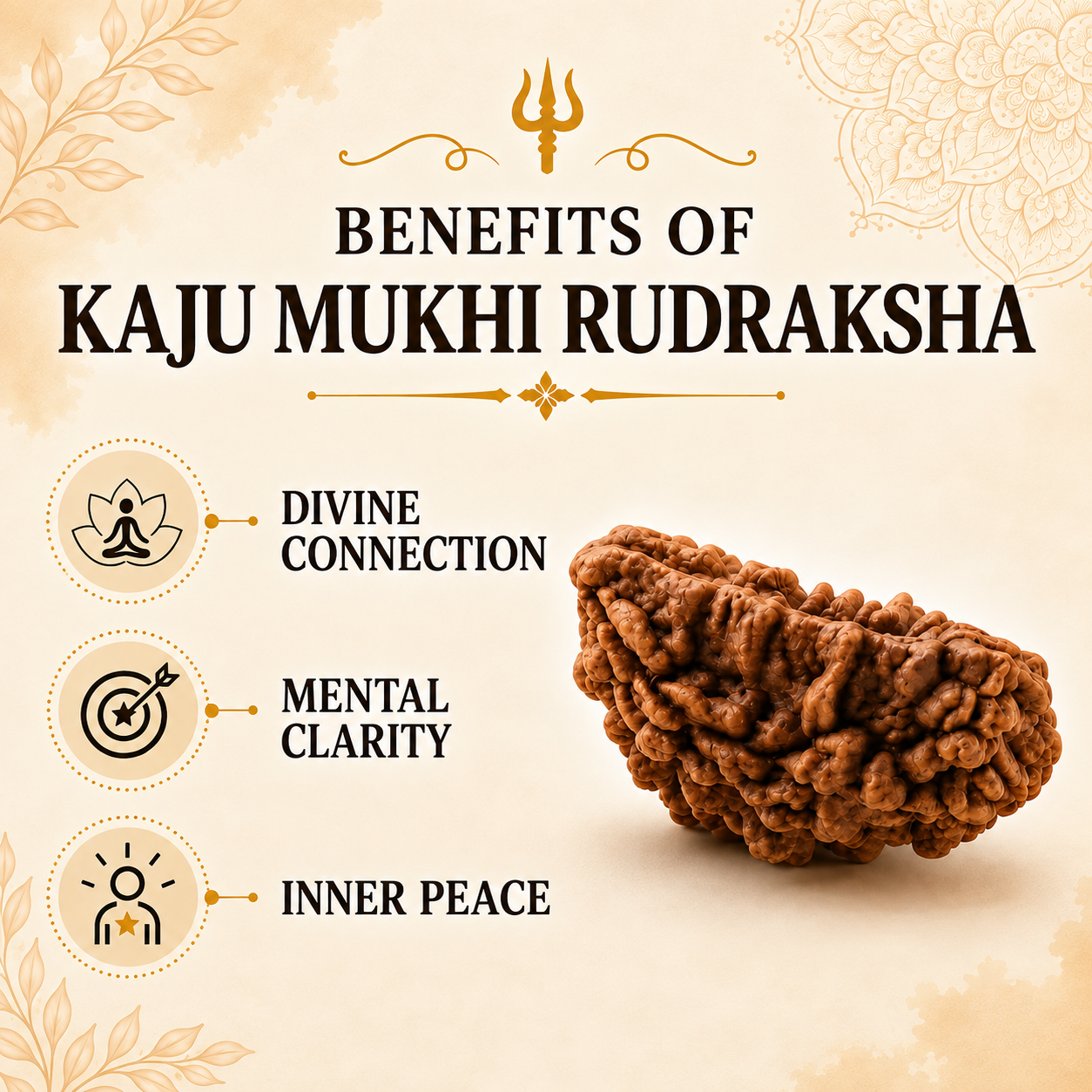 Kaju Mukhi Rudraksha